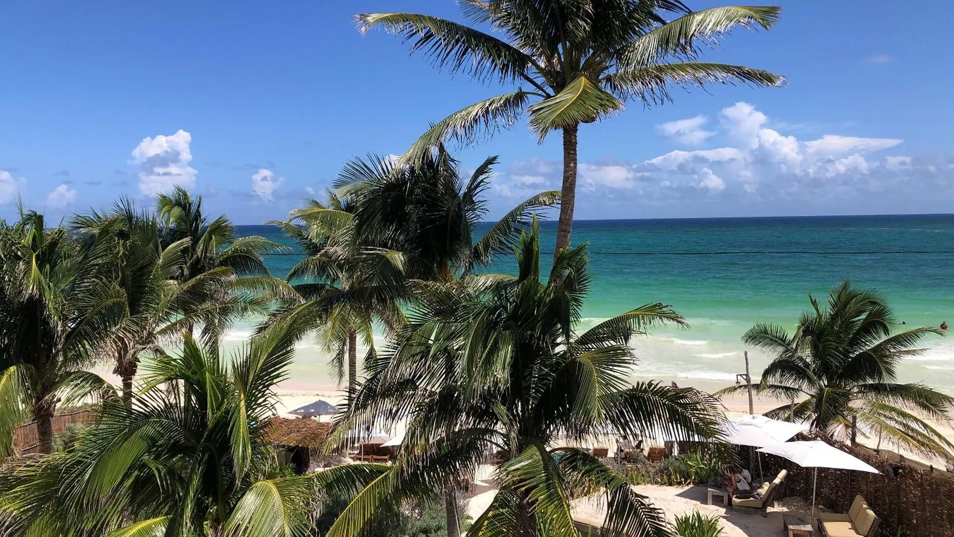 Luxury Poolside Gem With Pool, Jacuzzi & Gym Apartment Tulum 0*,  Mexico