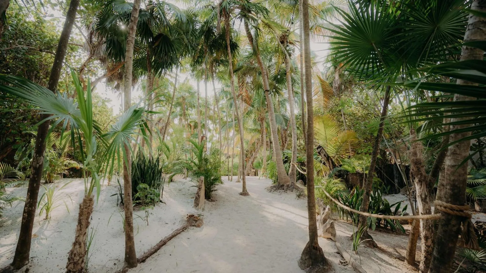 Luxury Poolside Gem With Pool, Jacuzzi & Gym Apartment Tulum